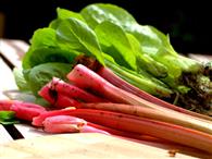 Plant Power: Could Rhubarb Stop A Robbery?