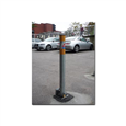 Autopa Removable Parking Post