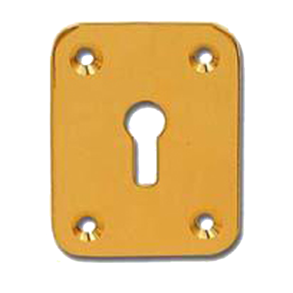DORTREND 2151 Front Fix Escutcheon