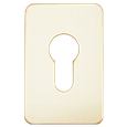 ASEC Self Adhesive 45mm x 70mm Euro Escutcheon