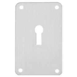 ASEC Screw On 45mm x 70mm UK Mortice Escutcheon
