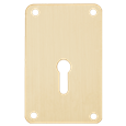 ASEC Screw On 45mm x 70mm UK Mortice Escutcheon