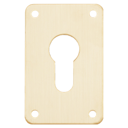 ASEC Screw On 45mm x 70mm Euro Escutcheon