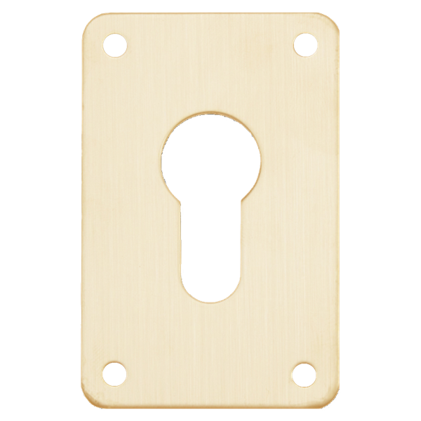 ASEC Screw On 45mm x 70mm Euro Escutcheon