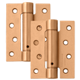 ASEC Spring Hinge - Pair