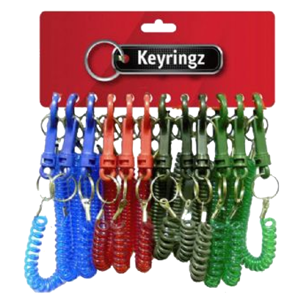 ASEC Spiral Key Ring