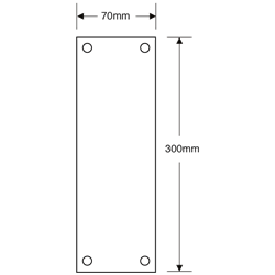 ASEC Victorian 70mm Wide Polished Brass Finger Plate
