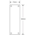 ASEC Victorian 70mm Wide Polished Brass Finger Plate