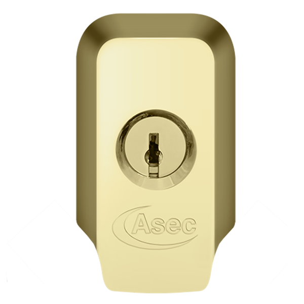 ASEC High Security Rim Cylinder Pull With Cylinder