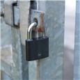 YALE Y111B Series Cast Iron Padlock