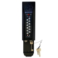 LOXAL Smart Key Safe Face Fix Pro FFPPU