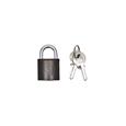 Tri Circle 25mm Iron Padlock - Open Shackle