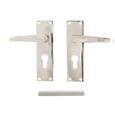 TSS Victorian Lever on Plate Furniture