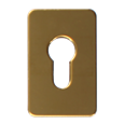 ASEC Self Adhesive 45mm x 70mm Euro Escutcheon