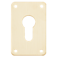ASEC Screw On 45mm x 70mm Euro Escutcheon