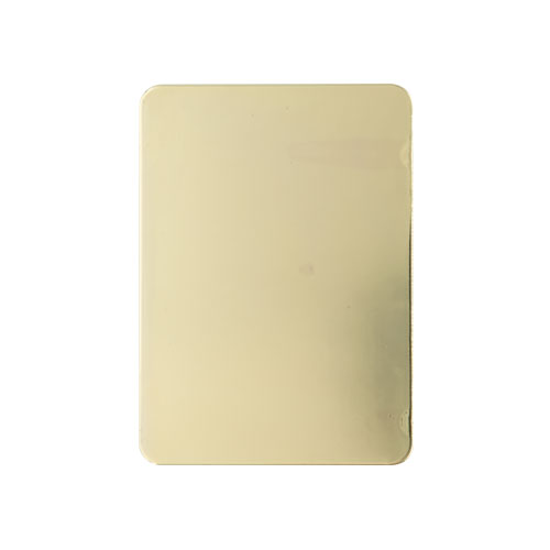 TSS Large Stick On Repair Plate