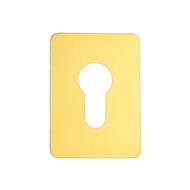 TSS Large Euro Stick On Escutcheon