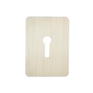 TSS Large UK Stick On Escutcheon
