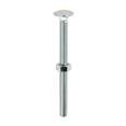 Timco Carriage Bolt & Hex Nut