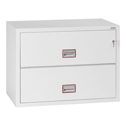 Phoenix FS2410 Series Fire Files (LEAD TIME: 3-5 DAYS)
