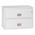 Phoenix FS2410 Series Fire Files (LEAD TIME: 3-5 DAYS)