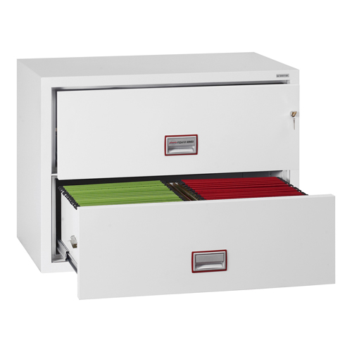 Phoenix FS2410 Series Fire Files (LEAD TIME: 3-5 DAYS)