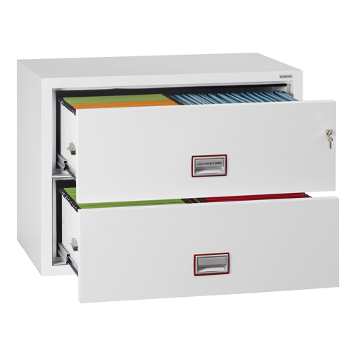 Phoenix FS2410 Series Fire Files (LEAD TIME: 3-5 DAYS)