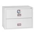 Phoenix FS2410 Series Fire Files (LEAD TIME: 3-5 DAYS)