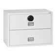 Phoenix FS2410 Series Fire Files (LEAD TIME: 3-5 DAYS)