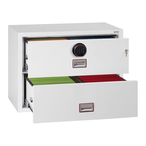 Phoenix FS2410 Series Fire Files (LEAD TIME: 3-5 DAYS)