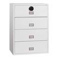 Phoenix FS2410 Series Fire Files (LEAD TIME: 3-5 DAYS)