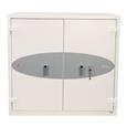 Phoenix FS1920 Series Fire Safes (LEAD TIME: 3-5 DAYS)