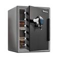 De Raat Sentry Safes Fire Resistant (60 Minutes) Chest Safes (LEAD TIME: 3-5 DAYS)