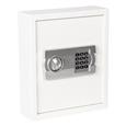 De Raat Protector Key Safes (LEAD TIME: 3-5 DAYS)