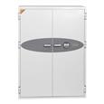 Phoenix DS4620 Series Data Safes (LEAD TIME: 3-5 DAYS)