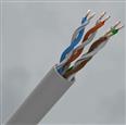 CQR CAT5eUTP/GY/PVC/100 Category Cable | Cat5e | Eca | PVC | Grey | 100 (LEAD TIME: 2-3 DAYS)