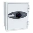 Phoenix DS2000 Series Data Safes (LEAD TIME: 2-3 DAYS)