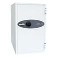 Phoenix DS4620 Series Data Safes (LEAD TIME: 3-5 DAYS)
