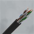 CQR CAT6UTP/BK/PE/305/F Category Cable | Cat6 | Fca | PE | Black | 305 (LEAD TIME: 2-3 DAYS)
