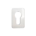 TSS Bi-Fold Handle Escutcheon