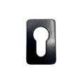 TSS Bi-Fold Handle Escutcheon