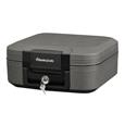 De Raat Sentry Safes Fire Resistant (30 Minutes) Chest Safes (LEAD TIME: 3-5 DAYS)