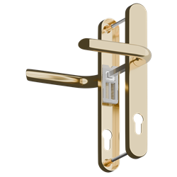 Polished Brass