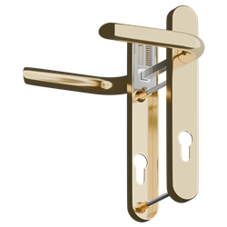 Polished Brass